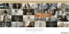 Welkom op onze nieuwe websites